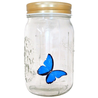 Flying Butterfly in a Jar