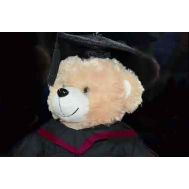 Graduation Bear