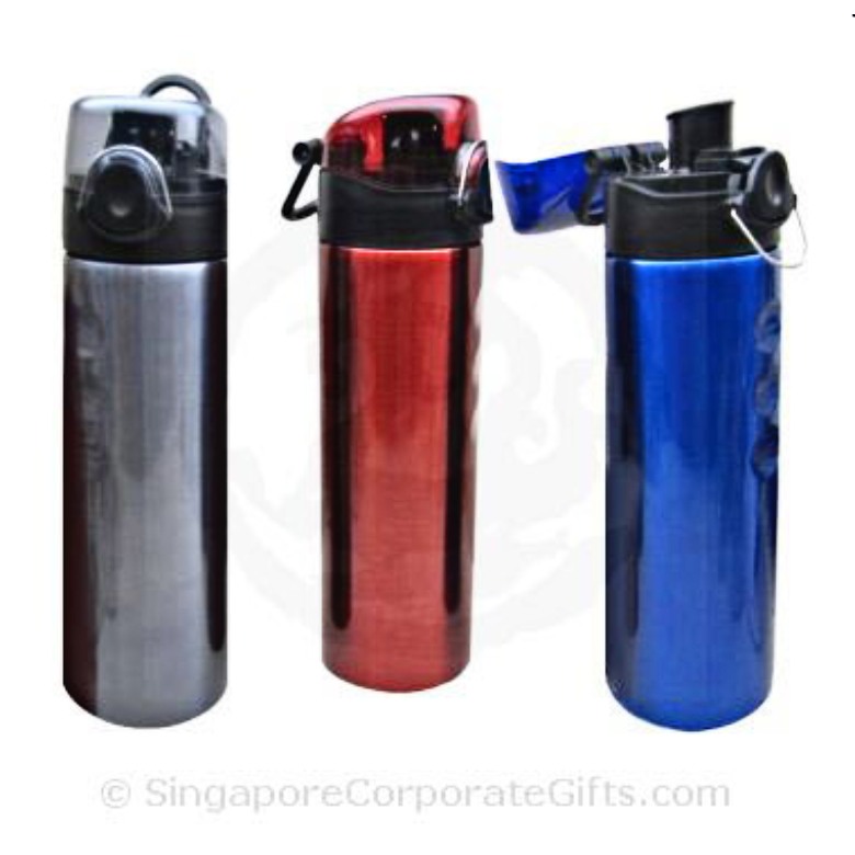 Stainless Steel Bottle (750ml)