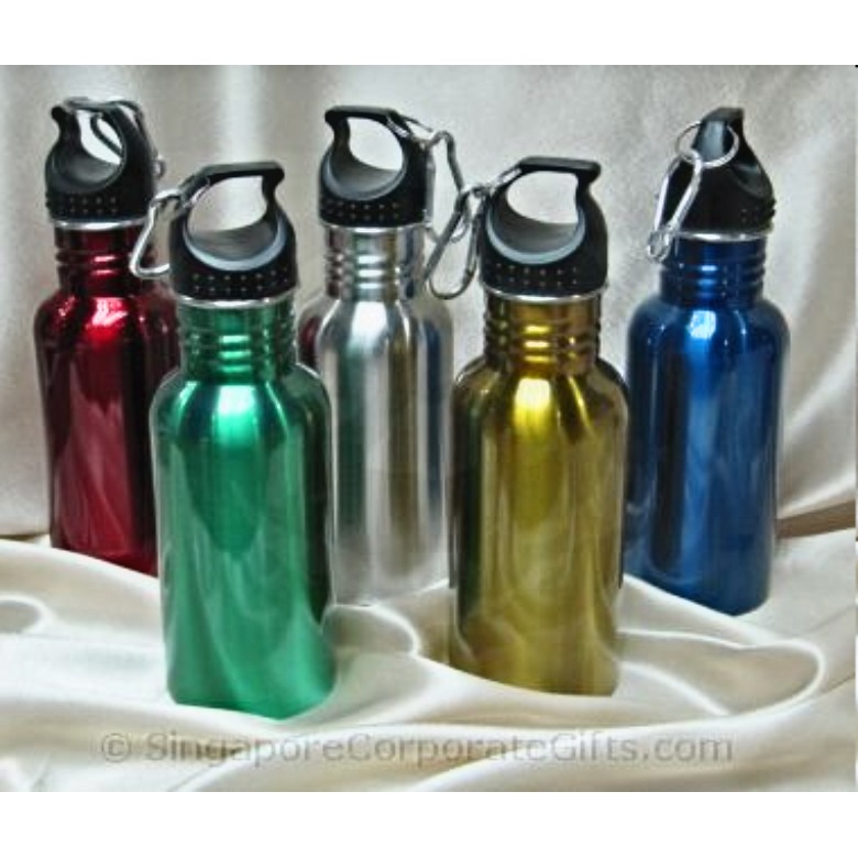 Stainless Steel Bottle (600ml)