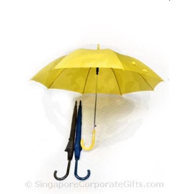 Umbrella with colour matching Handle (24")